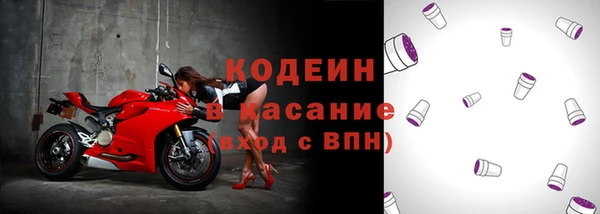 гидра Богородск