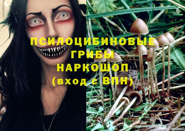a pvp Беломорск