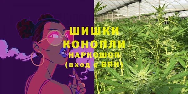 гидра Богородск