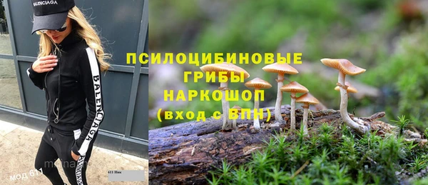 a pvp Беломорск