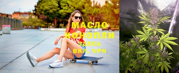 гидра Богородск