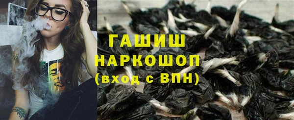 стаф Богородицк