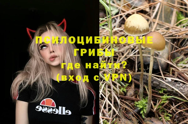 СК Осташков