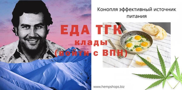 гидра Богородск