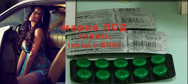 стаф Богородицк