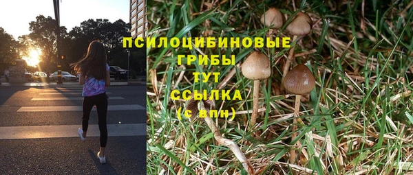 a pvp Беломорск